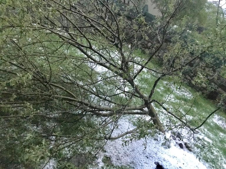 Вівторкова негода на Прикарпатті: найбільше постраждав Калуський район