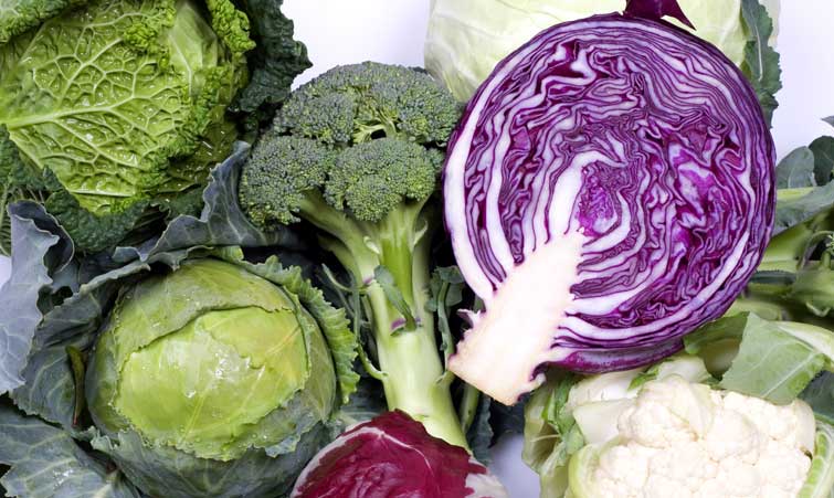 Галка рекомендує: 10 антистресових продуктів