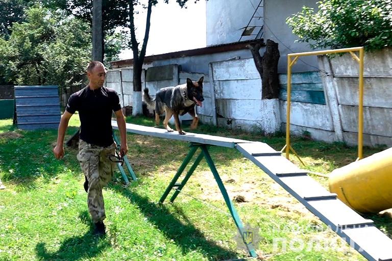 Шукають зброю і ловлять втікачів: франківські кінологи показали дітворі, як працюють службові собаки (ФОТО, ВІДЕО)