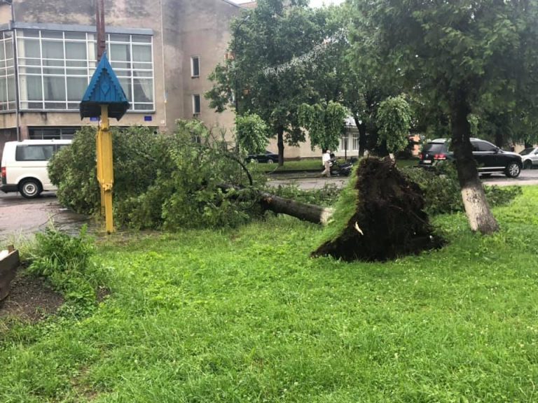 Сотні повалених дерев і зірваних дахів: 16 міст і сіл в області постраждали від негоди
