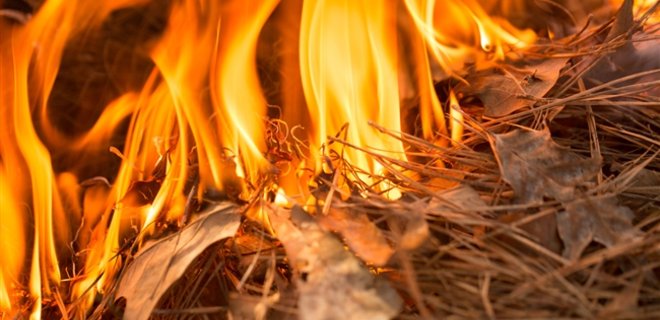 Дві тонни сіна та сміття палало на Прикарпатті через необережність людей