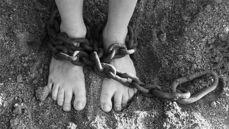 Франківців за 140 тисяч гривень навчать, як не потрапити в рабство