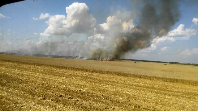 Аграрному підприємству Марцінківа додали ще шість мільйонів капіталу і п’ять – кредиту