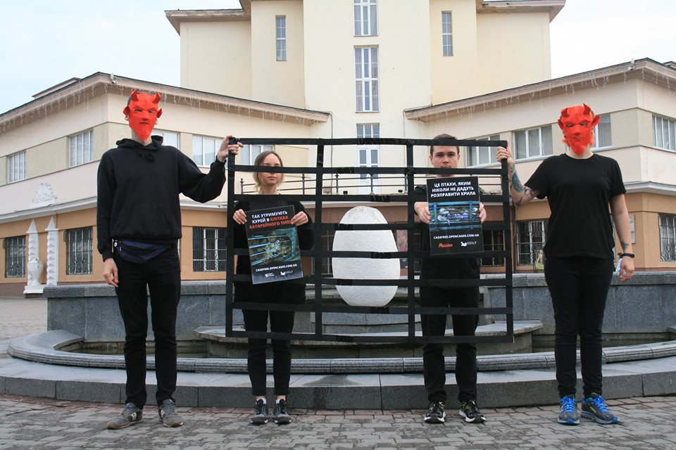 На площі Ринок активісти протестували проти вирощування курей у клітках (ФОТО)