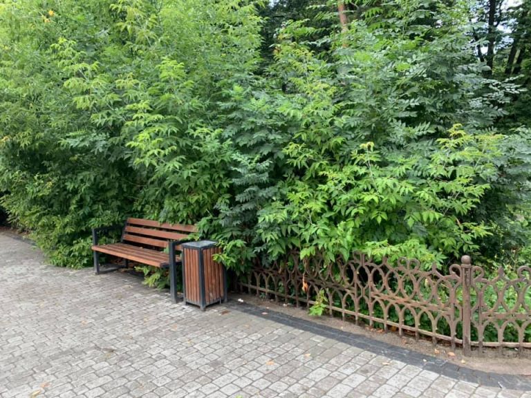 У парк Військових ветеранів вдихають нове життя (ФОТОФАКТ)