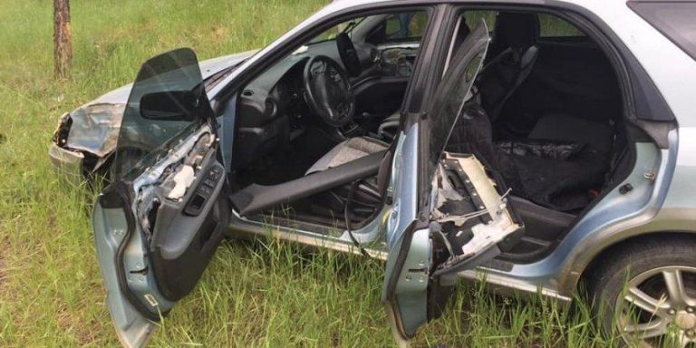 В США ведмідь викрав автомобіль, розбив його і втік із місця злочину (ФОТО)
