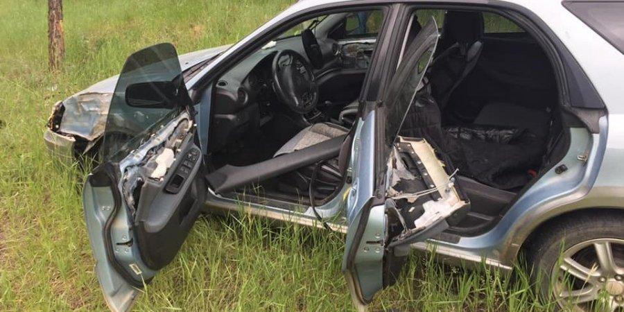 В США ведмідь викрав автомобіль, розбив його і втік із місця злочину (ФОТО)