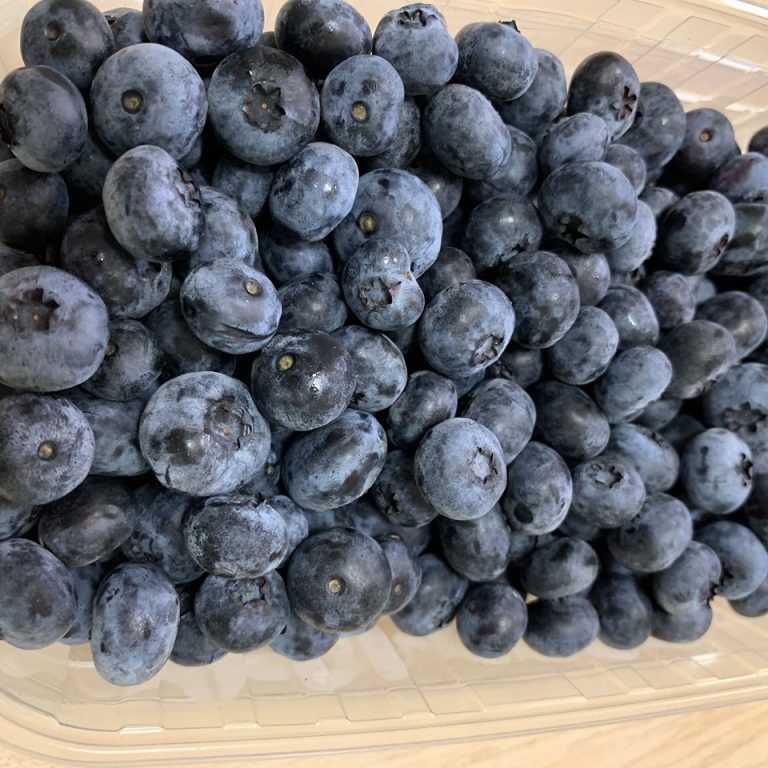 Українська історія успіху: як у Долині лохину вирощують (ФОТО)