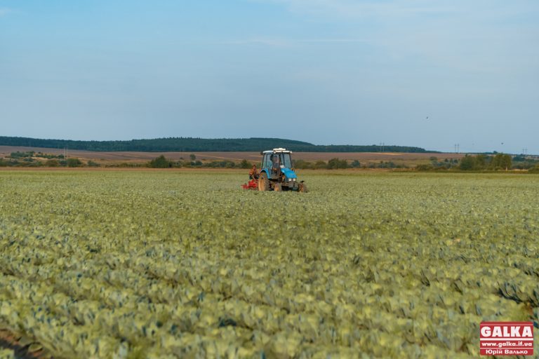 У 2023 прикарпатські аграрії отримали 556 мільйонів кредитних грошей від держави