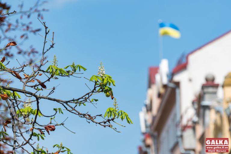 Відчули весну: в центрі Франківська знову розквітли каштани (ФОТО)