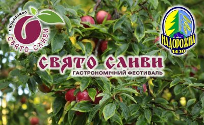 На Прикарпатті відбудеться унікальний гастрономічний фестиваль сливи