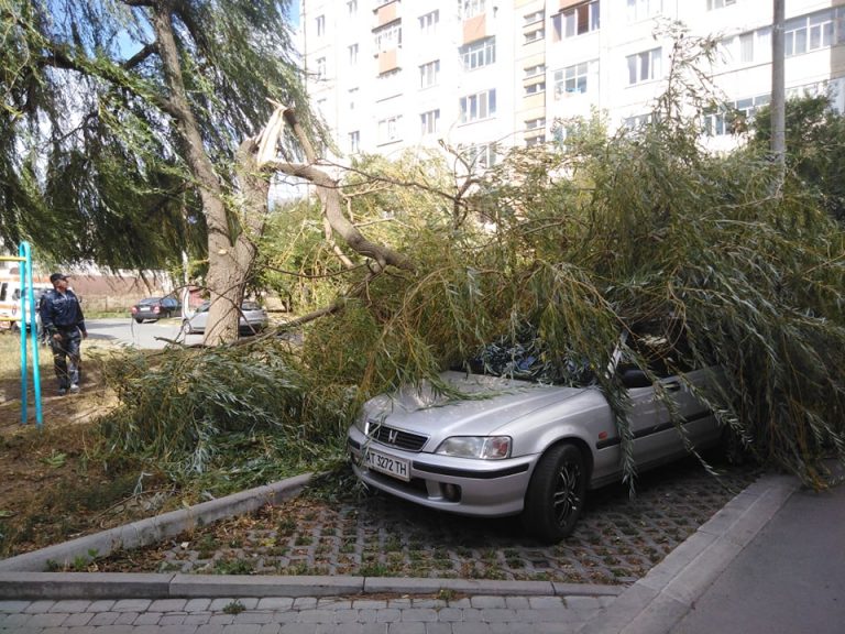 У Франківську вітер повалив дерево на Хонду (ФОТОФАКТ)