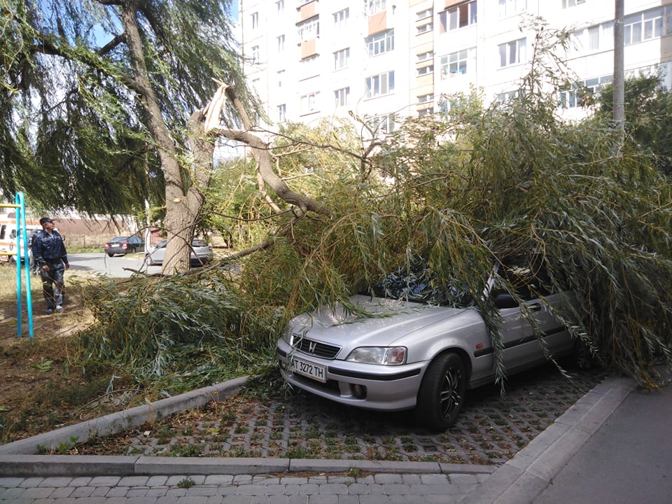 У Франківську вітер повалив дерево на Хонду (ФОТОФАКТ)
