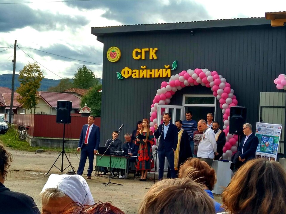 У Печеніжинській ОТГ запрацював кооператив, де вирощуватимуть малину