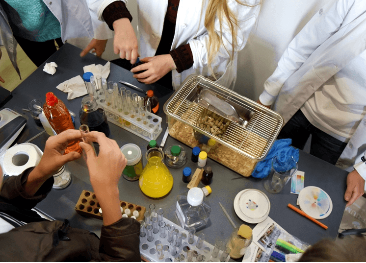 У Франківську відбувся перший Всеукраїнський фестиваль STEM-освіти (ФОТО)