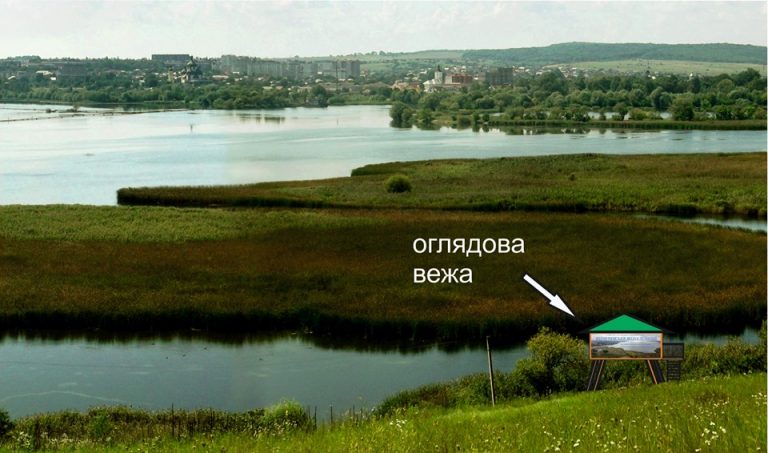 На Бурштинському водосховищі встановлять вежу для спостереження за птахами (ПРОЄКТ)