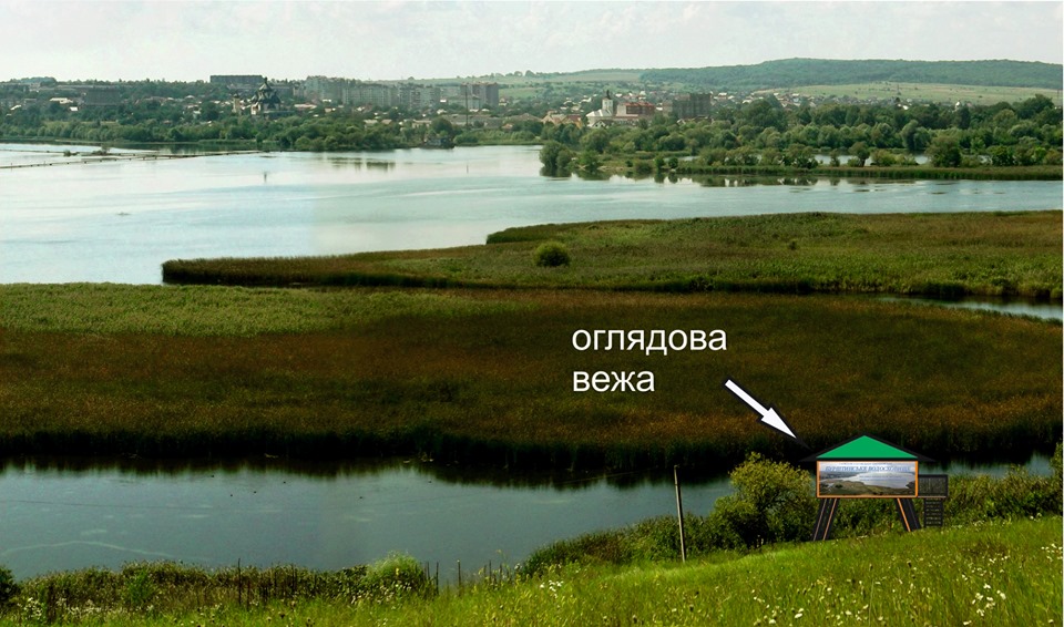 На Бурштинському водосховищі встановлять вежу для спостереження за птахами (ПРОЄКТ)