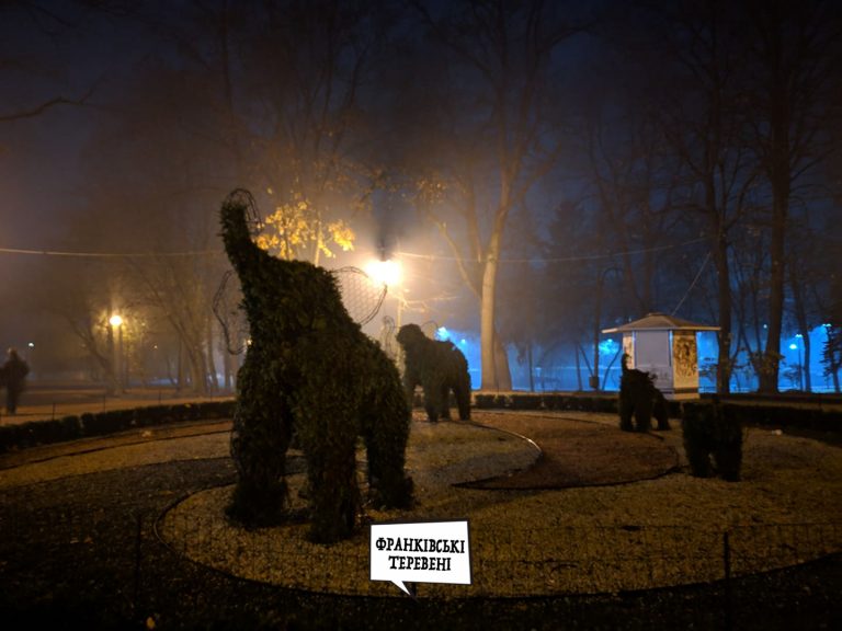 Слони в тумані. У мережі показали осінній парк ввечері (ФОТО)