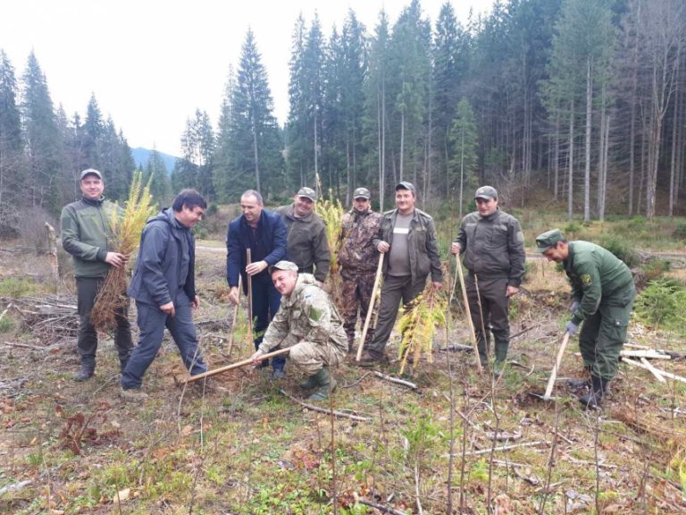 На Верховинщині бійці АТО разом з лісівниками висадили молодий ліс (ФОТО)