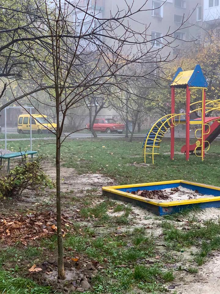 Комунальники Смушака висадили дерева в “одному з найкращих дворів міста” (ФОТО)