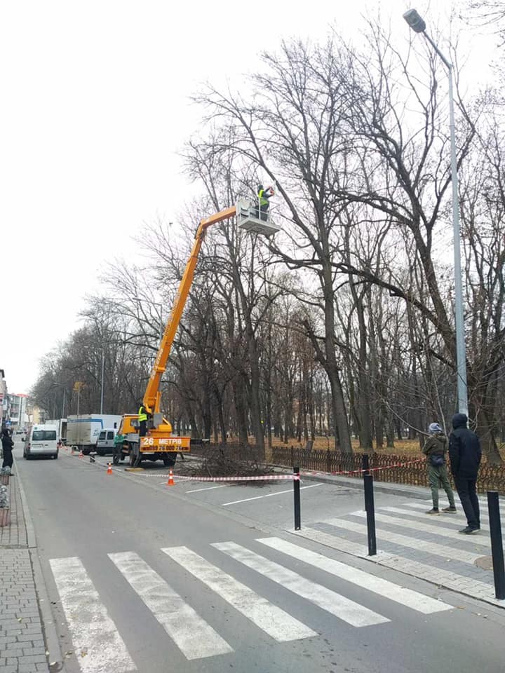 У франківському парку зрізають аварійні гілки (ФОТО)