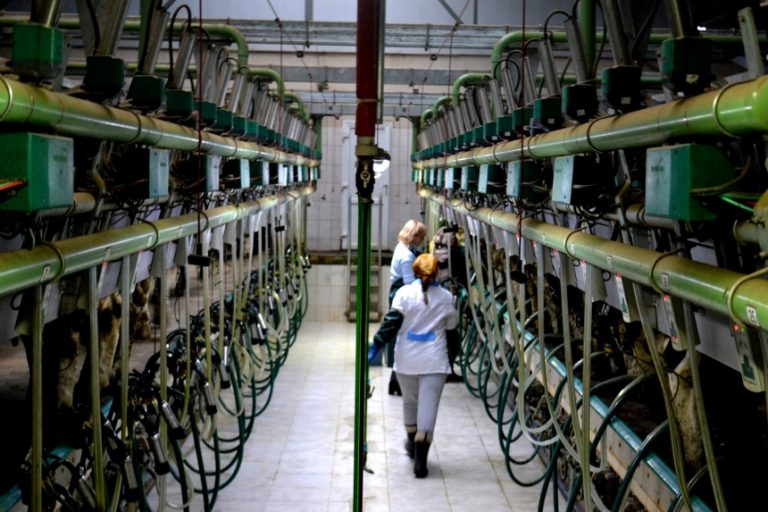 Сири, пиво і солодощі: майбутнім підприємцям показали одні з найкращих виробництв області (ФОТО)