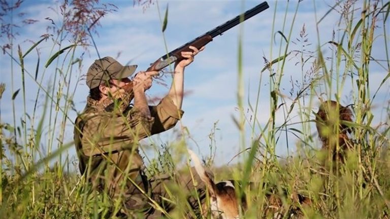 Прикарпатцям дозволили стріляти по диким тваринам