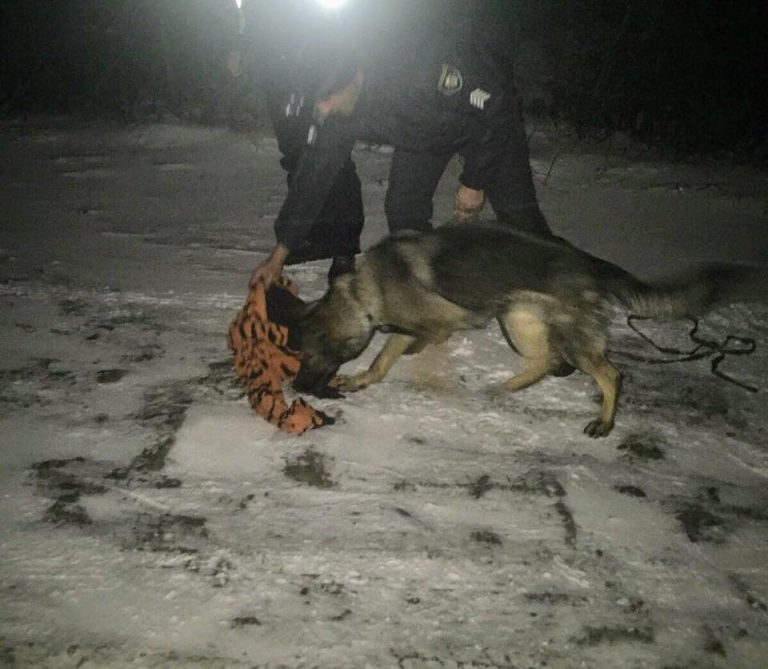 Прикарпатські поліцейські спільно з рятувальниками розшукали столичних туристів, які заблукали в Карпатах (ФОТО)