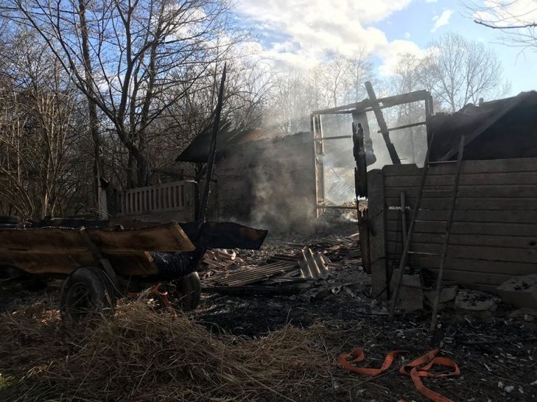Близько двох десятків тварин і дві тонни сіна знищив вогонь на Калущині (ФОТО)