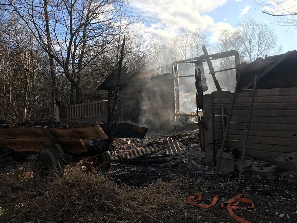 Близько двох десятків тварин і дві тонни сіна знищив вогонь на Калущині (ФОТО)