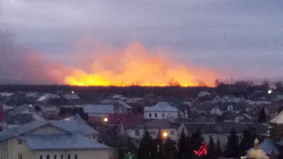“Підпалювали і щезали”. Масштабна пожежа на околицях міста виникла через підпал невідомими (ВІДЕО)