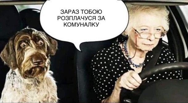 Нардеп від “Слуги народу” порадив пенсіонерці “продати собаку”, щоб сплатити за комуналку (ВІДЕО)