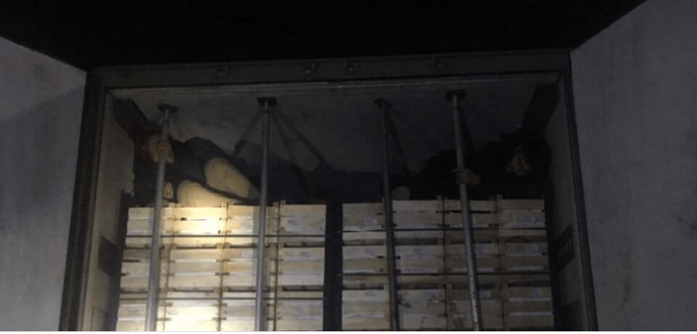 Ледь живих нелегалів з вантажівки з яблуками врятували Галицькі митники (ФОТО)