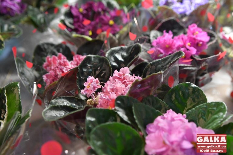 Квітучу виставку влаштували в Івано-Франківську (ФОТО)