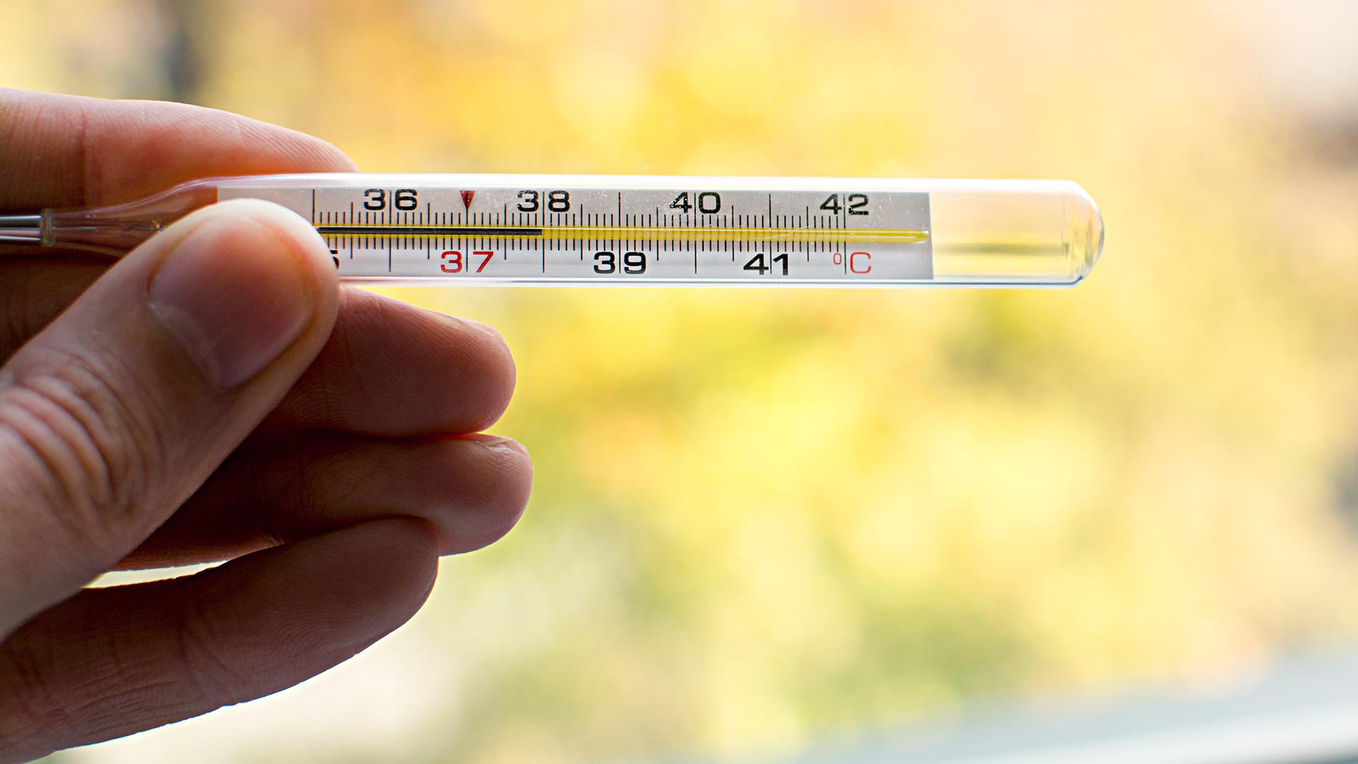 Коронавірус у Житомирській області: 22 осіб, які контактували з інфікованою, ізолювали