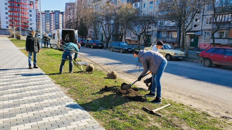 Алею ясенів висадили в Івано-Франківську (ФОТО)