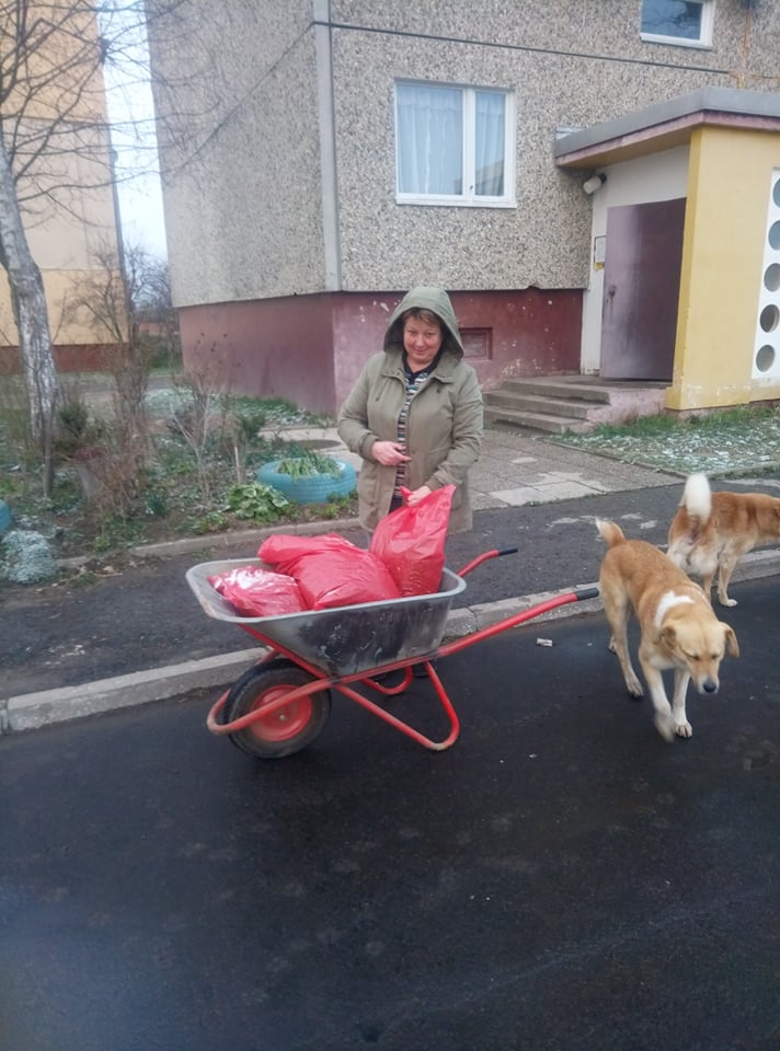 Волонтери “Дому Сірка” годують безпритульних собак на вулицях – просять допомогти грошима (ФОТО)