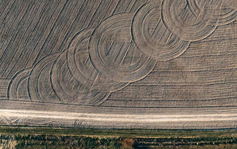 Франківський фотограф показав красу весняних полів з висоти пташиного польоту (ФОТО)