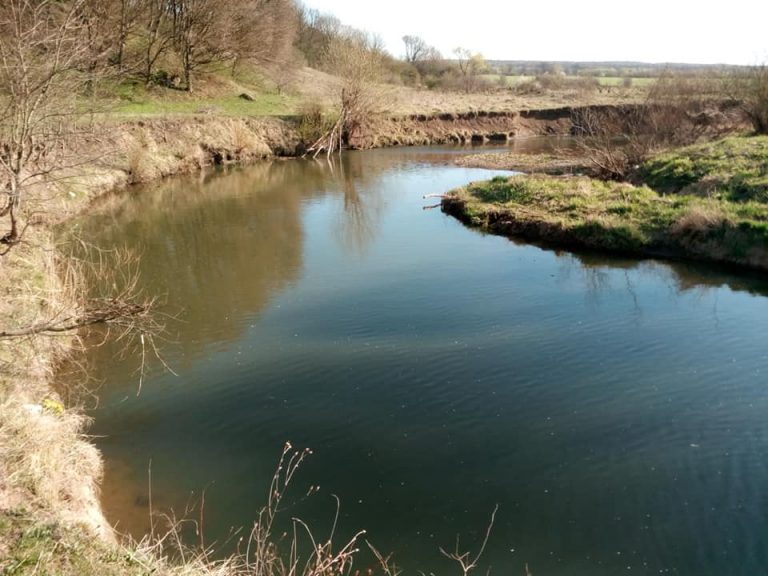 Облюбували бобри та птахи – прикарпатець показав красу річки Сівка (ФОТО)
