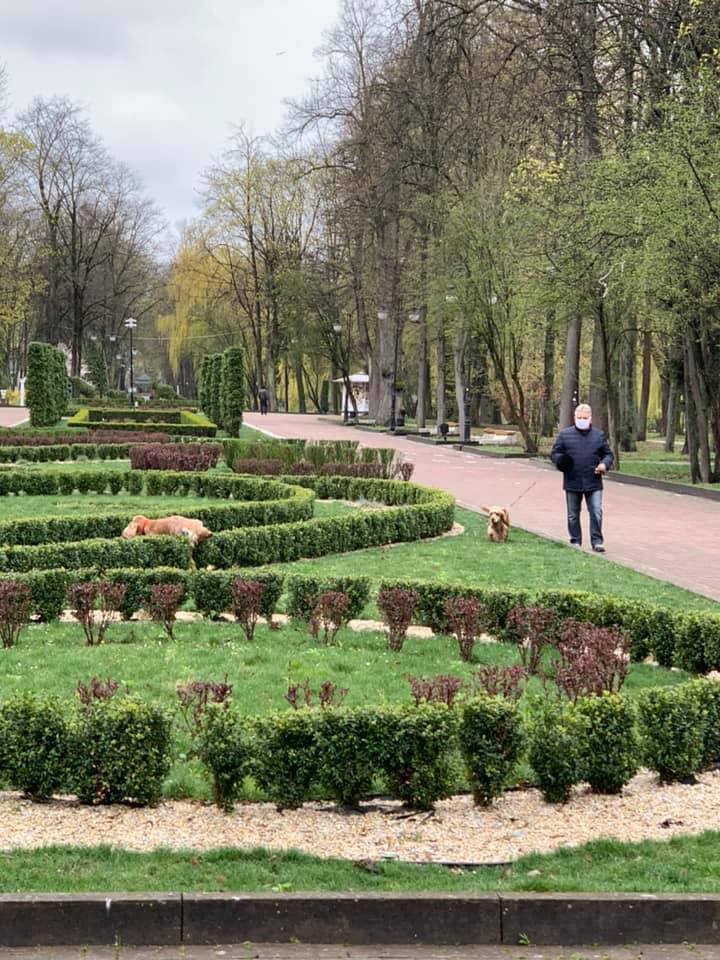 Безвідповідальні власники собак продовжують нищити центральні алеї міського парку (ФОТО)