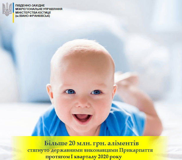 Від початку року прикарпатські боржники аліментів сплатили понад 20 мільйонів