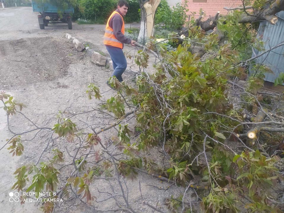 У Снятині сильний вітер поламав гілки та повалив дерева у парку (ФОТО)
