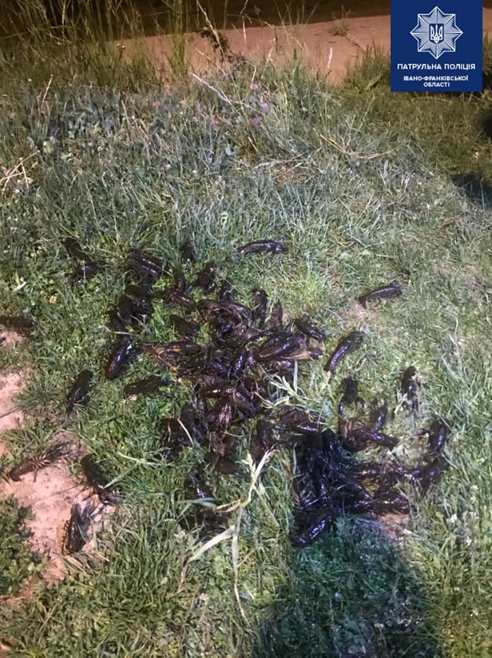 На Німецькому озері патрульні затримали браконьєрів, що ловили раків (ФОТО)