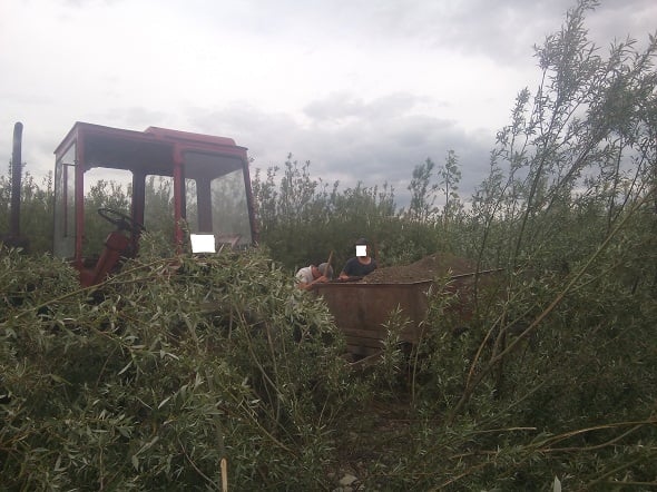 Крадіїв будматеріалу спіймали на Снятинщині (ФОТО)