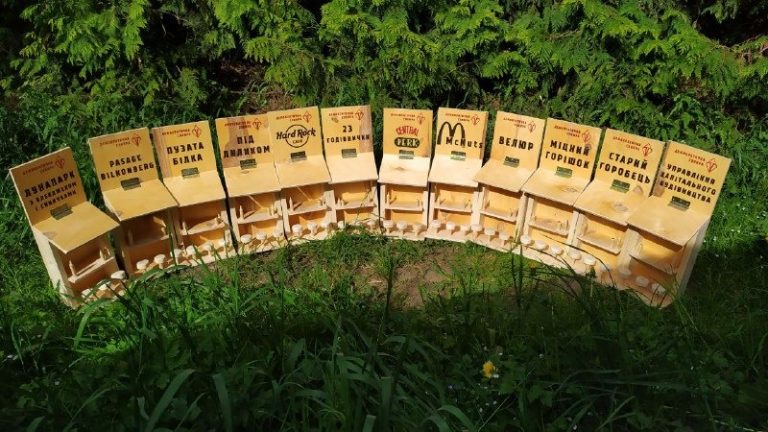 У Франківську з’явилися бари для птахів (ФОТО)