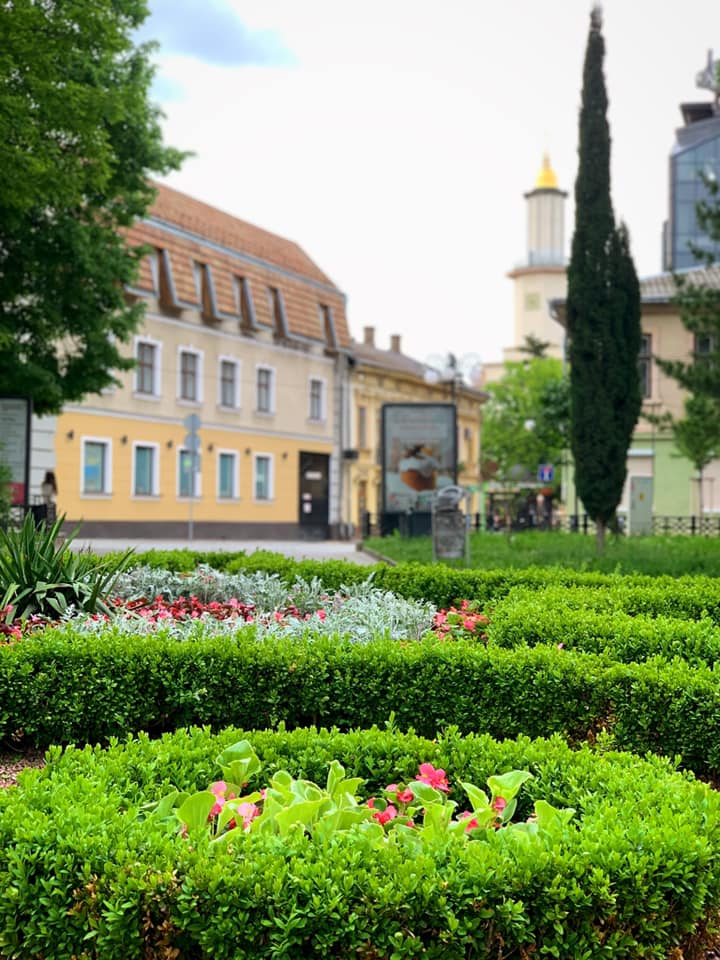 В центрі міста завершили висадку весняних квітів (КРАСИВІ ФОТО)