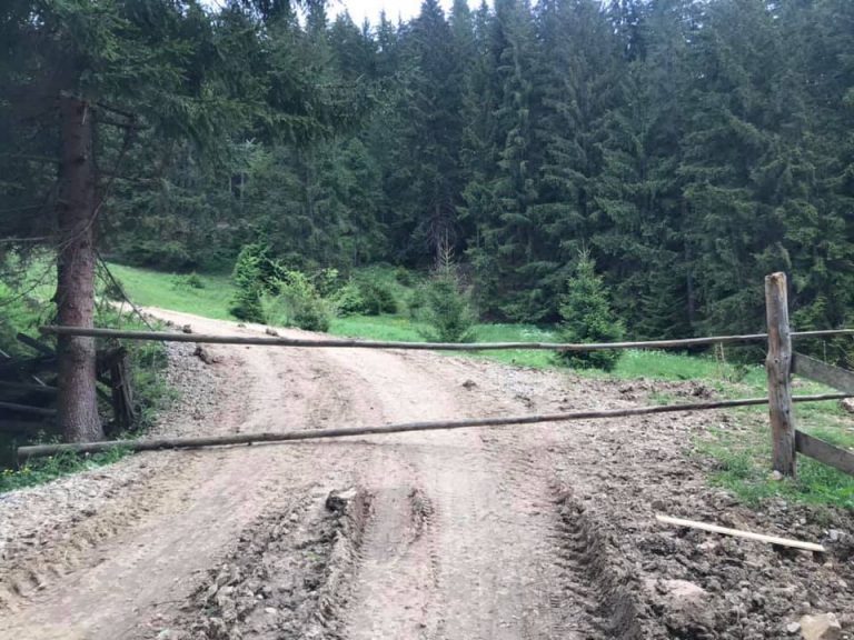 Витоптані квіти, п’яні компанії, аварії: містечко гобітів на Прикарпатті закривають