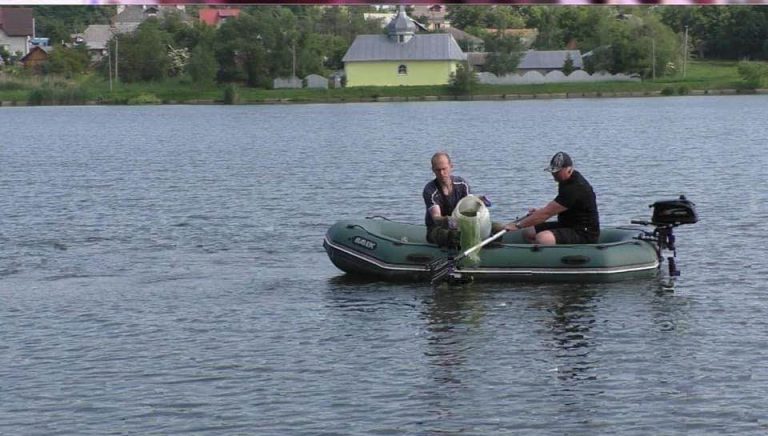 У Долині “оздоровили” міське озеро одноклітинними водоростями (ФОТО)