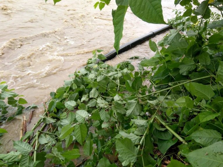 На Долинщині понад 2400 домогосподарств без газу. Висока вода заважає почати ремонт (ФОТО)