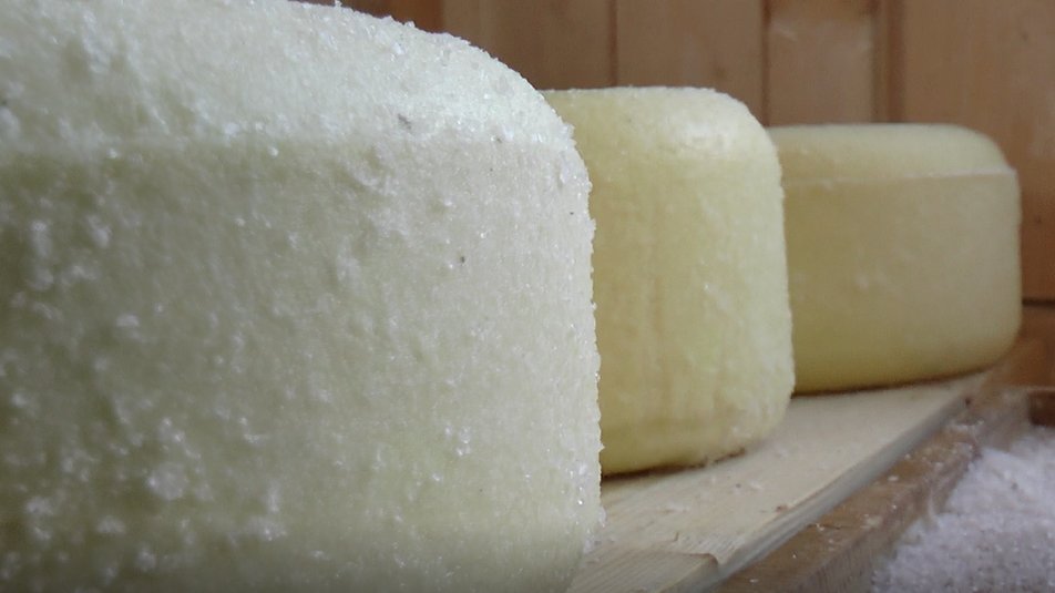 На Прикарпатті подружжя виготовляє сім видів овечого сиру та масло (ВІДЕО)